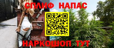 спиды Донской