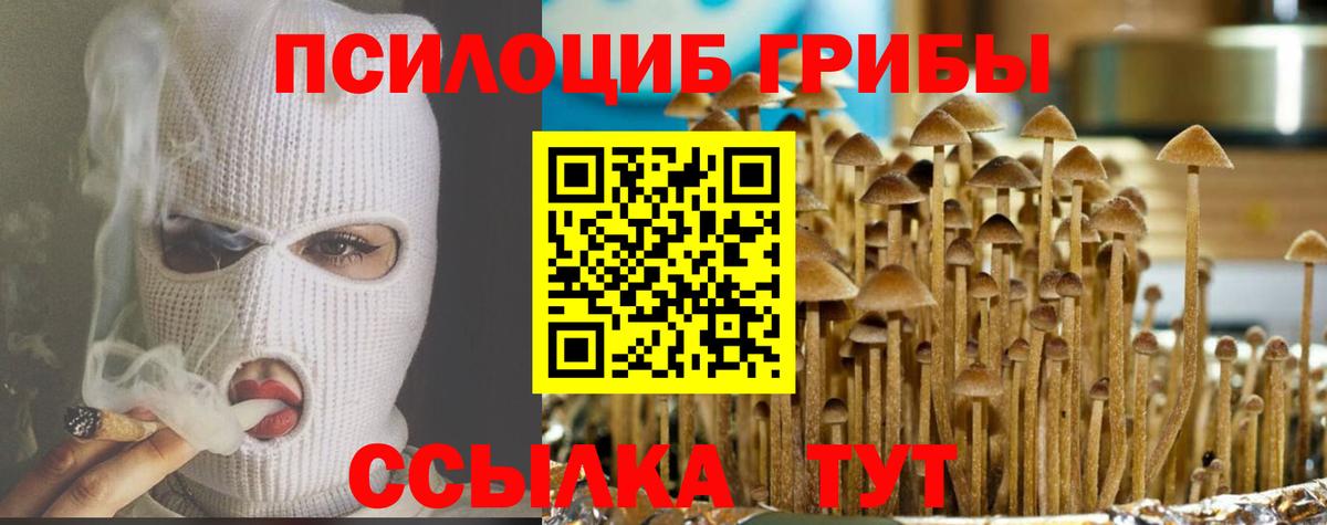 Мариинск  Галлюциногенные грибы Psilocybe  Вход с VPN 